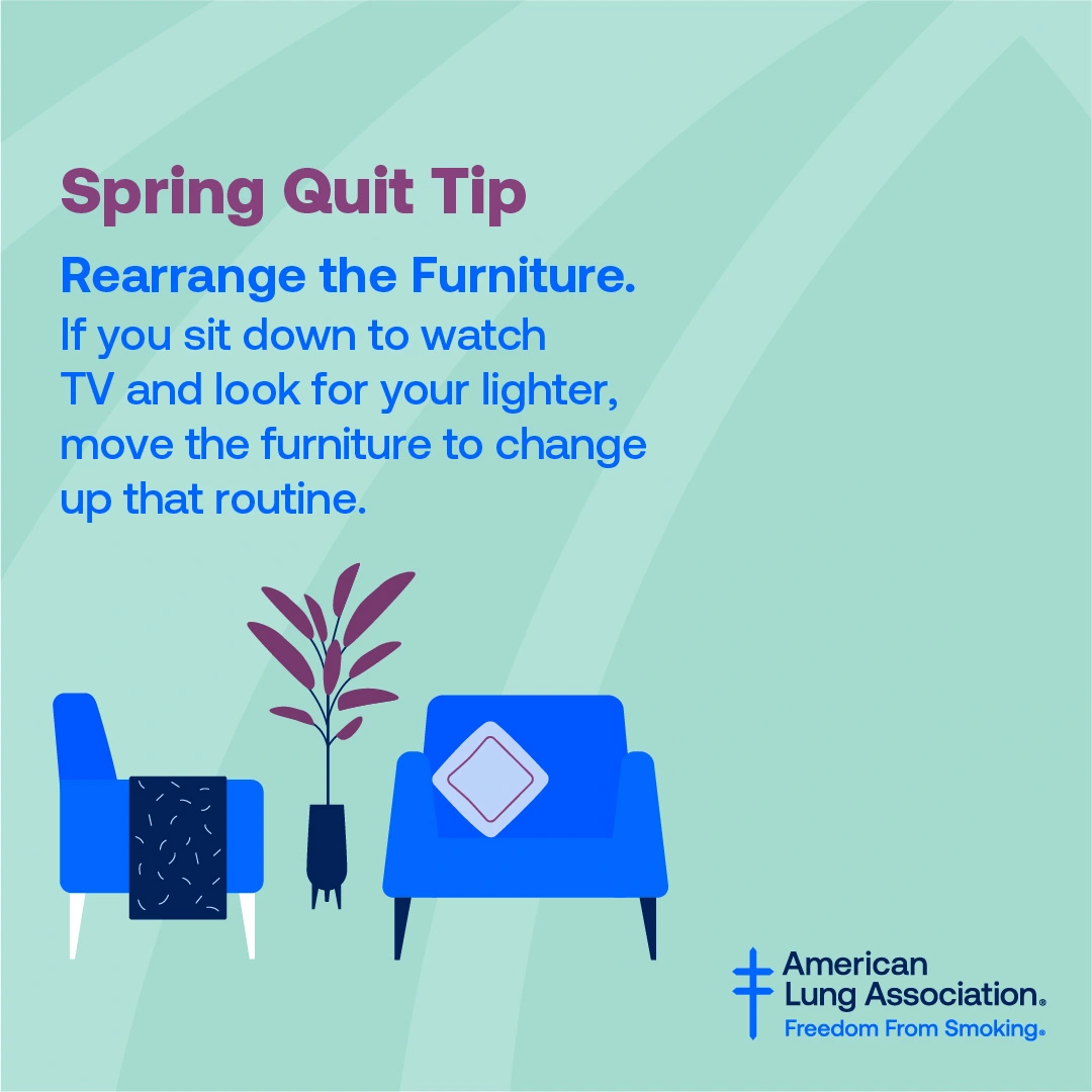 Spring 03 Instagram Image