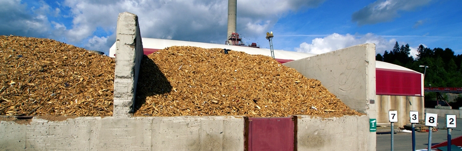 Biomass pile